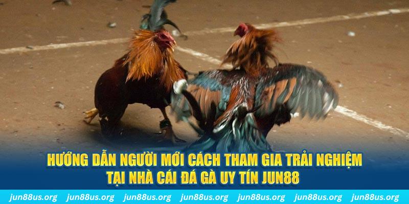 s6s666 loi game dot kich ket noi may chu that bai