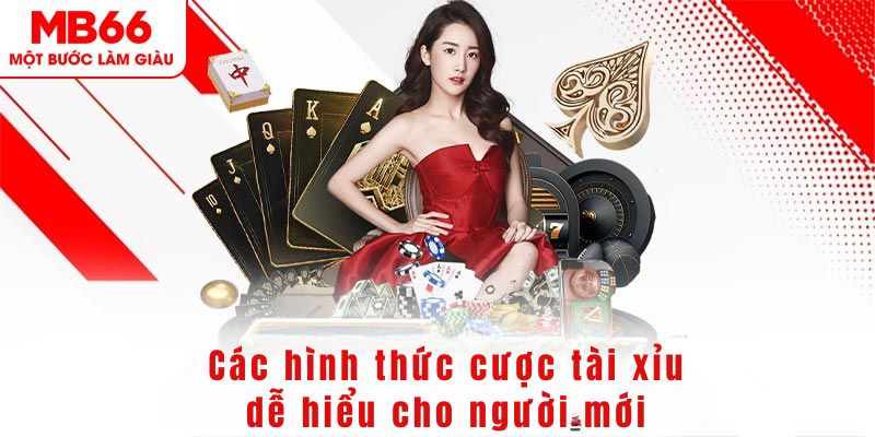 s6s666 DG Trực Tuyến