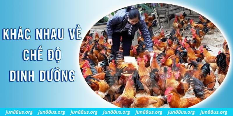 s6s666 xổ số miền nam thứ năm hàng tuần