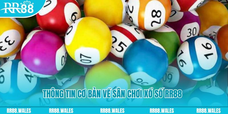 s6s666 đá gà hôm nay