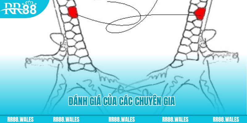 s6s666 V8 Game Bài 3d