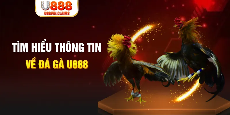 s6s666 đăng nhập tiến lên miền nam hàng đầu