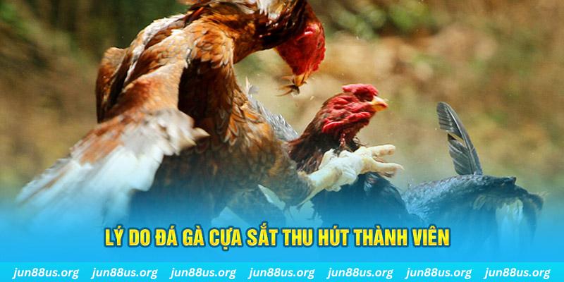 s6s666 chiếm slot là gì