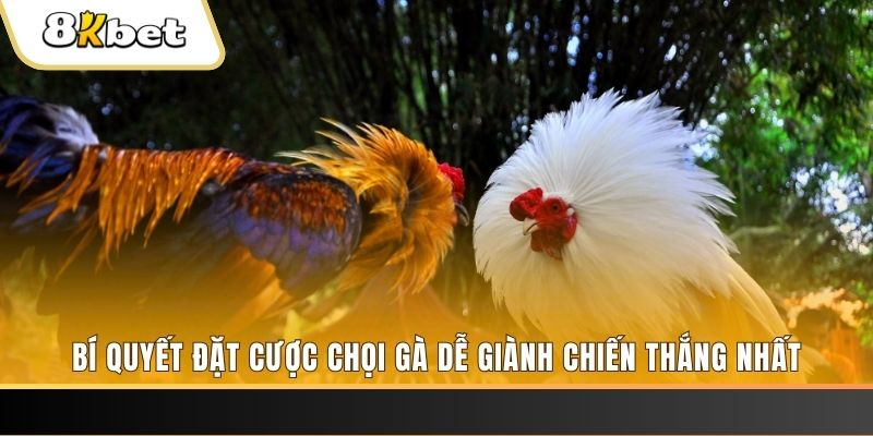 s6s666 xổ số thứ hai hàng tuần