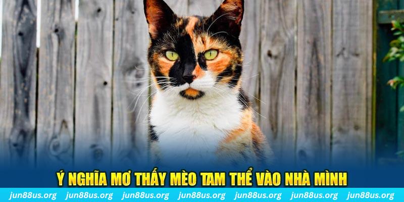 s6s666 RTG Bắn cá