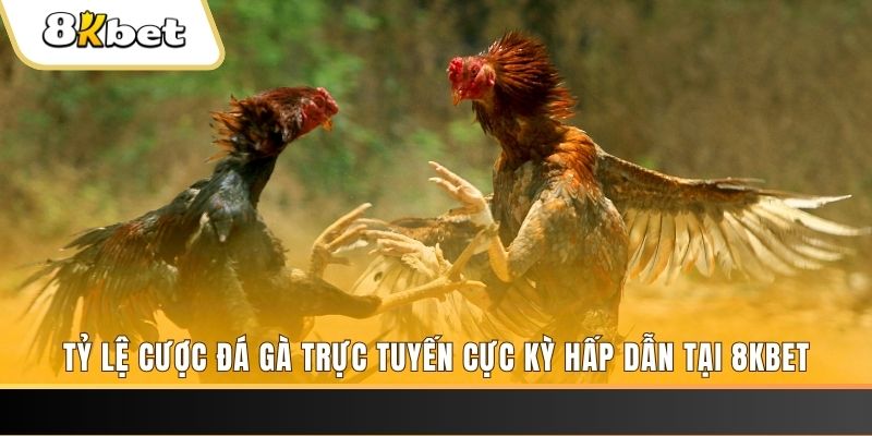 s6s666 baccarat online bịp như thế nào