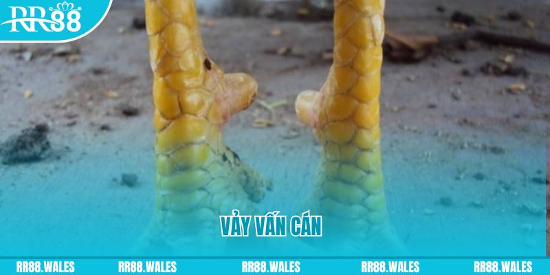 s6s666 đăng nhập nổ hũ hôm nay