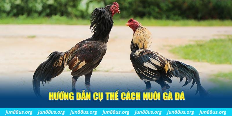 s6s666 đăng nhập sòng bạc số 1