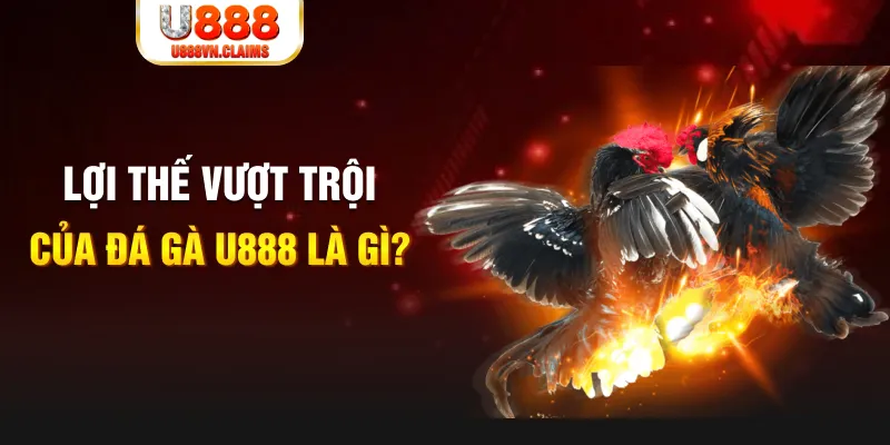 s6s666 168G Điện Tử